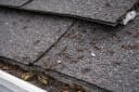 Insects in attic